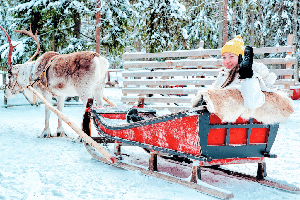 A woman in a sleigh being pulled by a reindeer in Finland